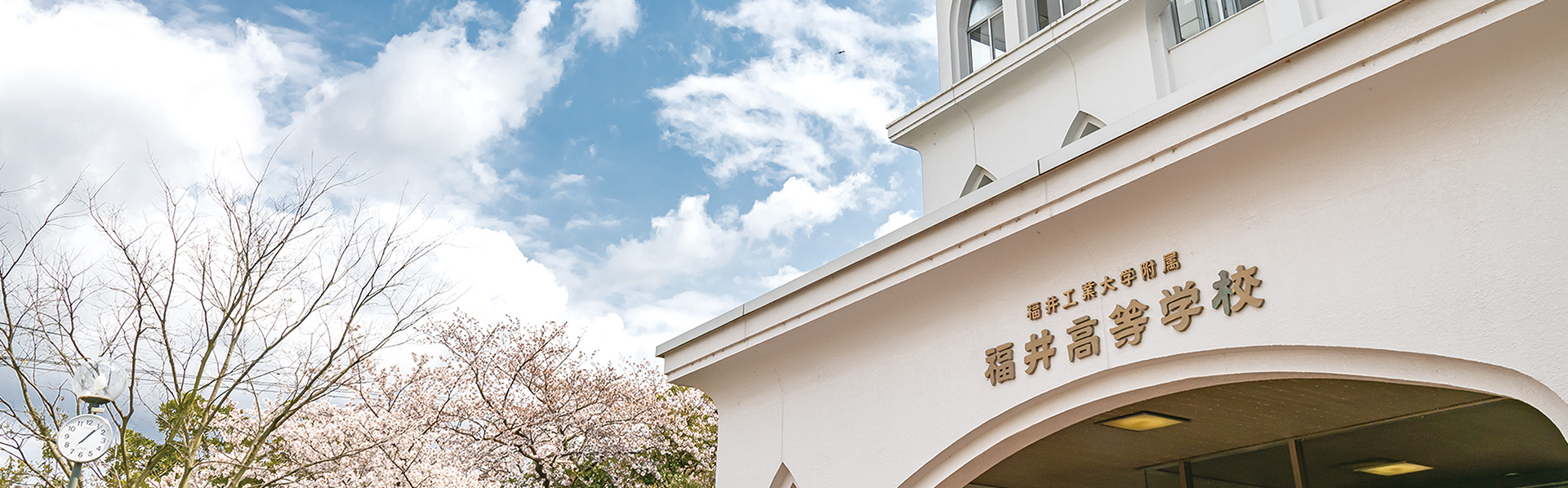 学校情報イメージ